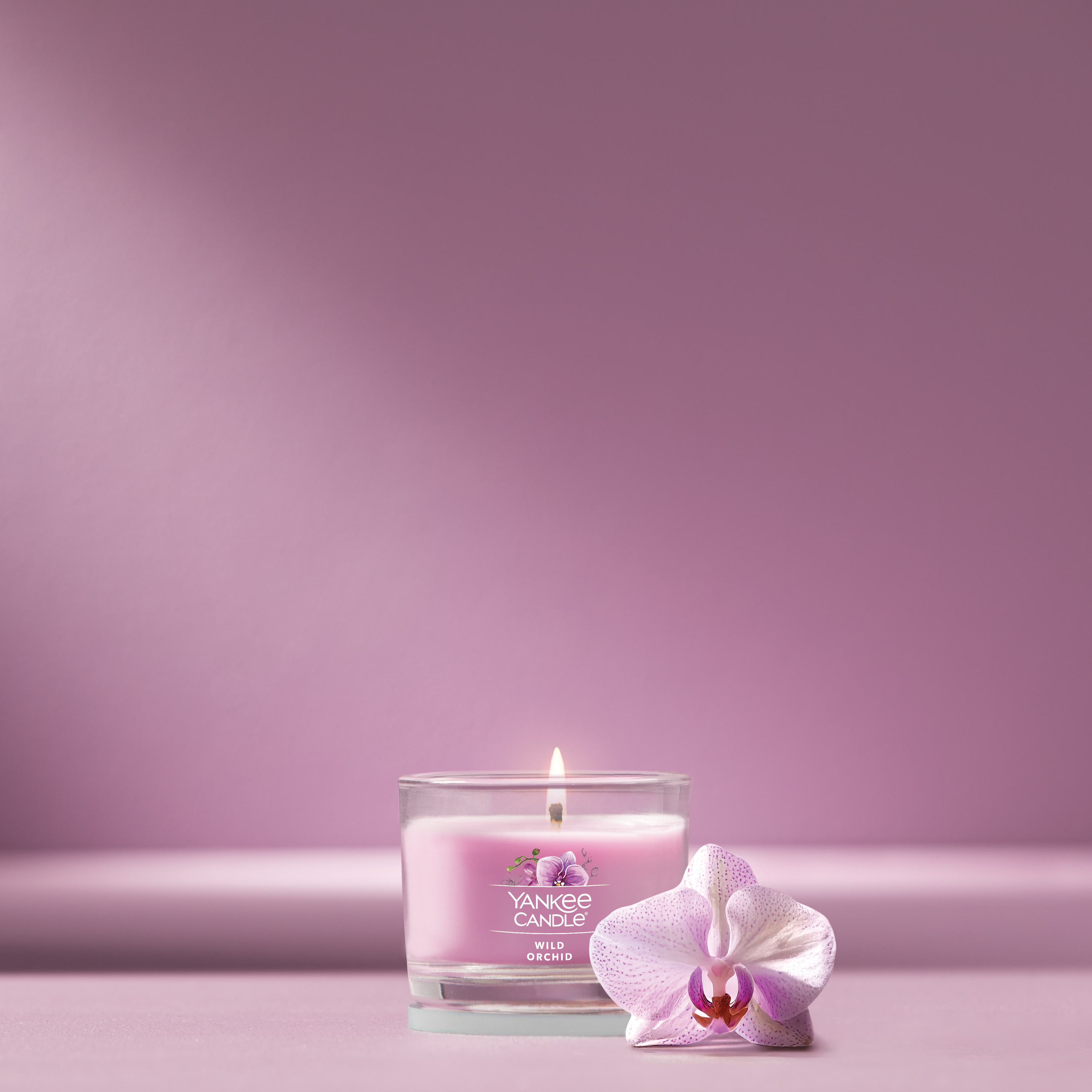 Wild Orchid - Image 31